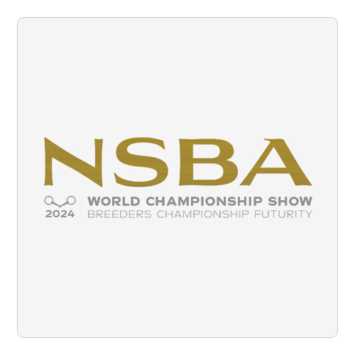  2024 NSBA World Show & Breeders Championship Futurity