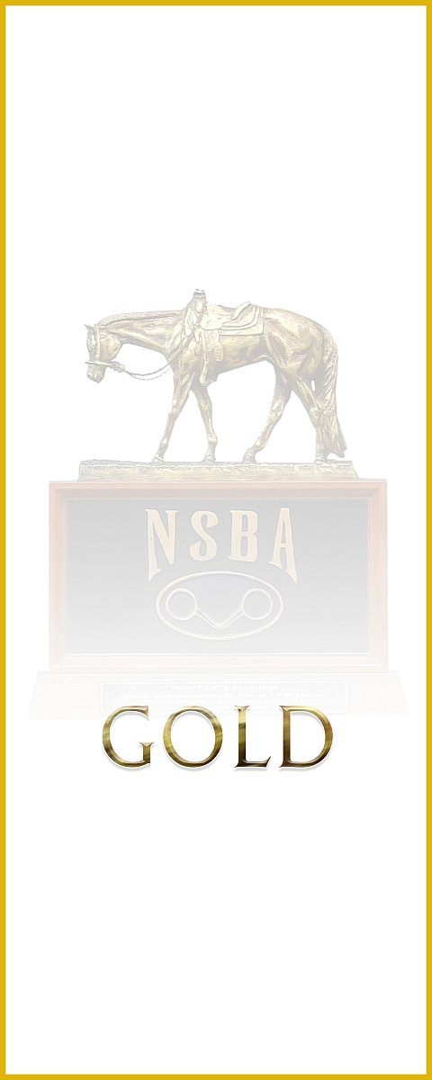 VIPGOLD.jpg