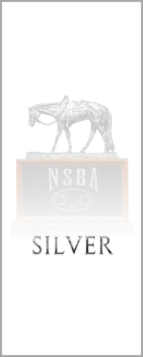 VIPSILVER.jpg
