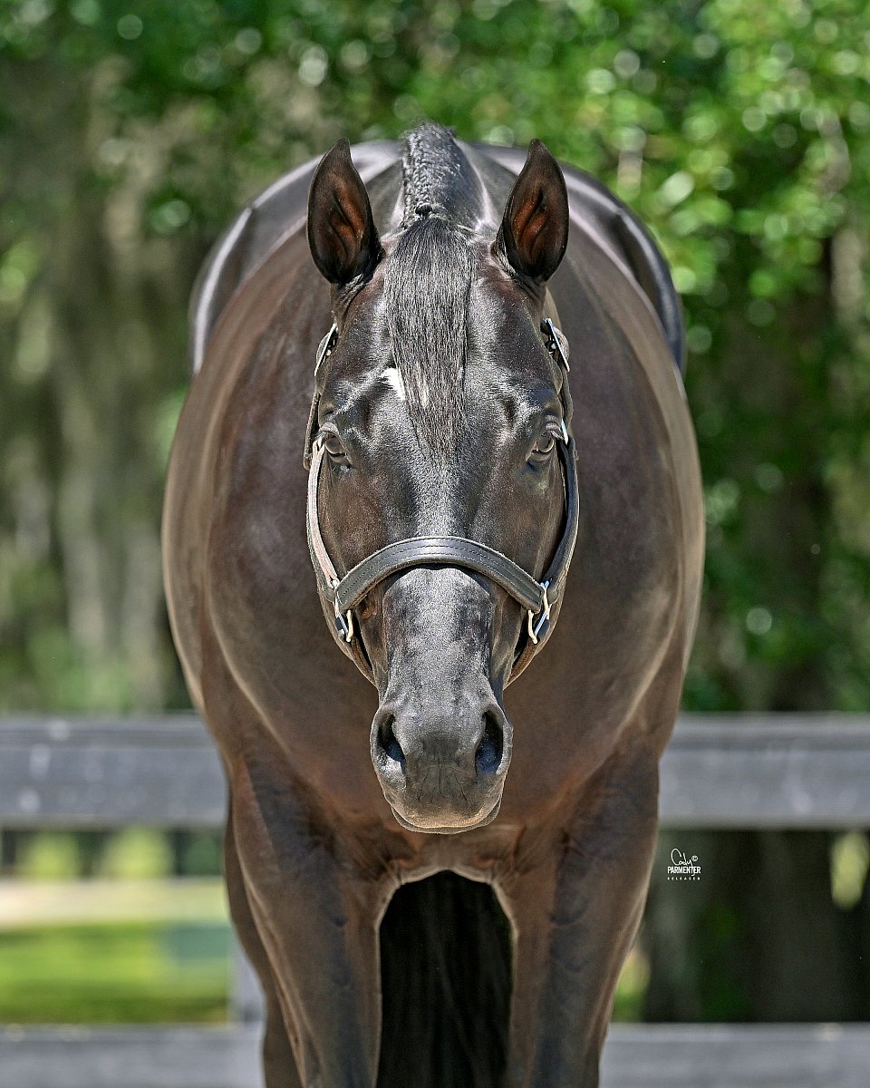 OBC24-4805-D-S.RANCH RELEASED.jpg